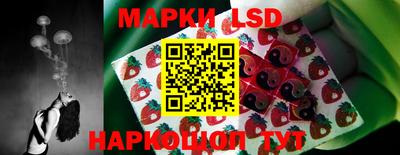 шишки Лесосибирск
