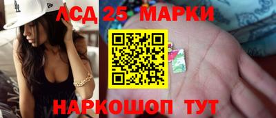 шишки Лесосибирск