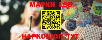 шишки Лесосибирск