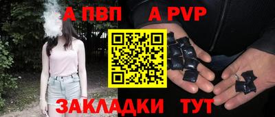шишки Лесосибирск